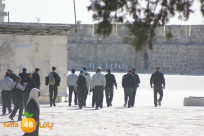 بن غفير يعلن نيته إقتحام الأقصى عشية يوم الأرض